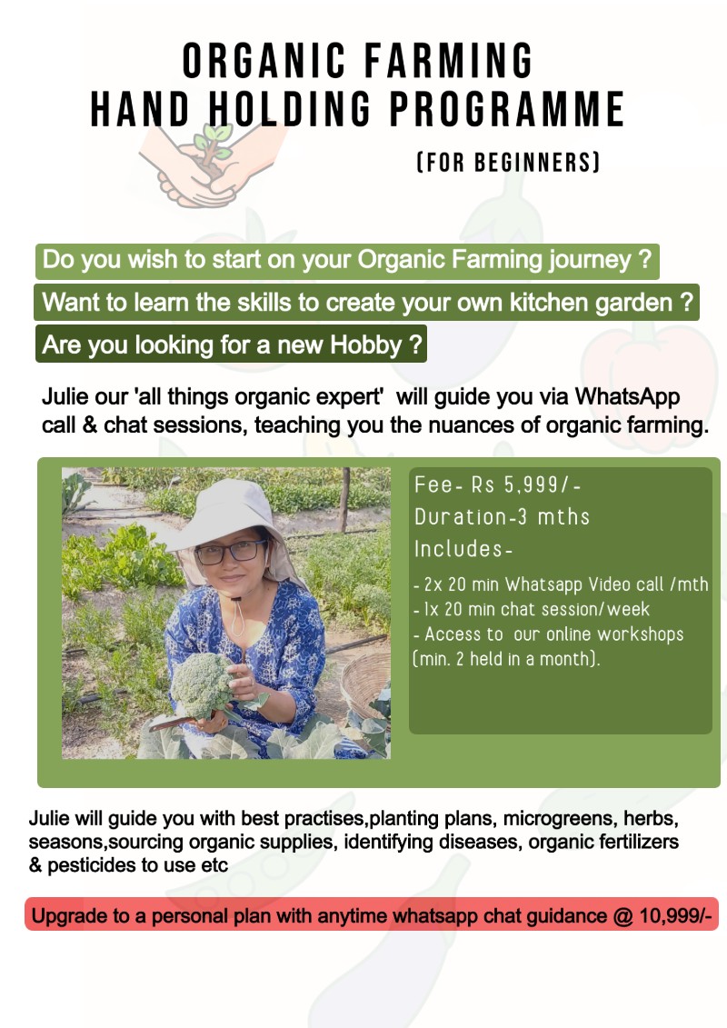 Organic Farming Hand Holding Programme