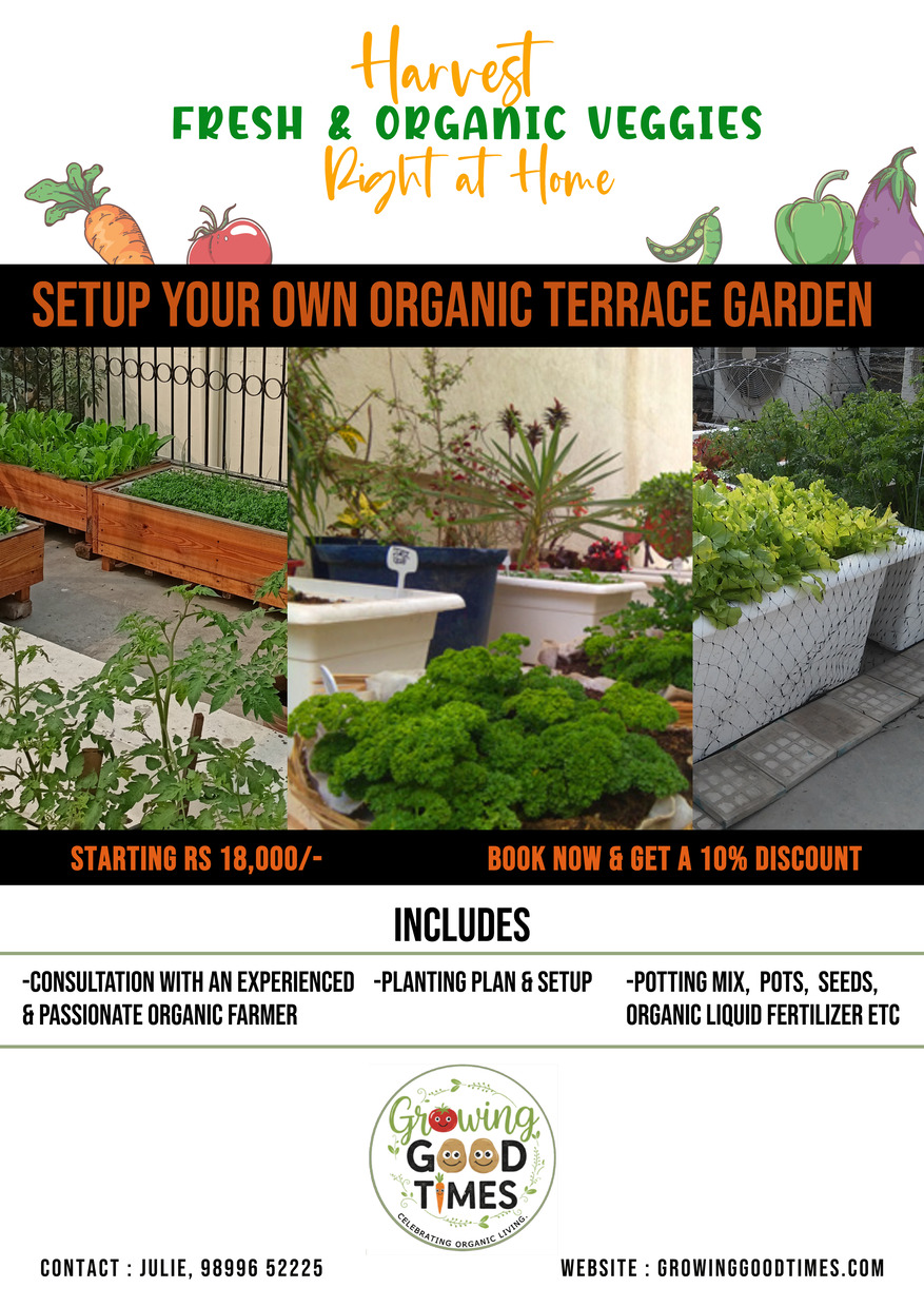 Setup Your Own Organic Terrace Garden